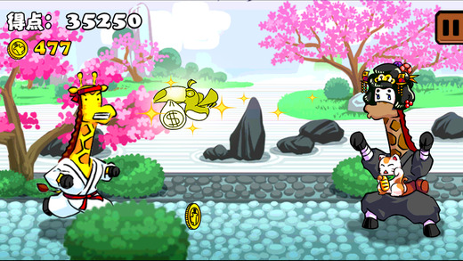 空手道的长颈鹿