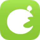 青番茄APP 1.0.1 安卓版