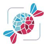 野糖 2.8.0 安卓版