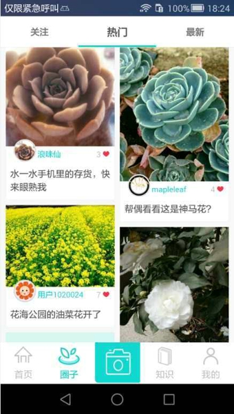 花满城