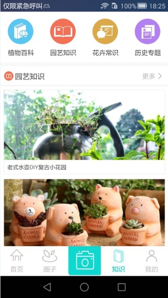 花满城