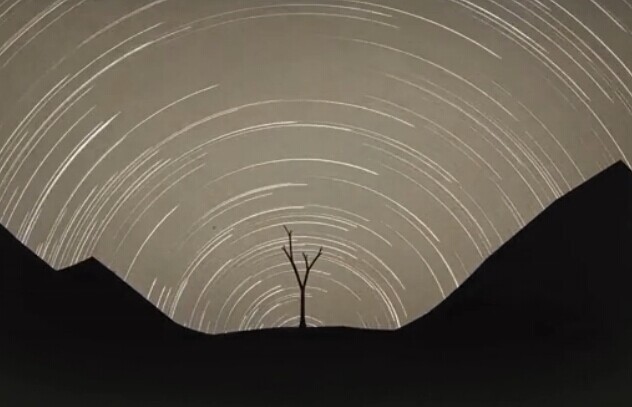 修剪艺术 1.0.4 安卓版