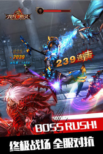 龙与精灵九游版