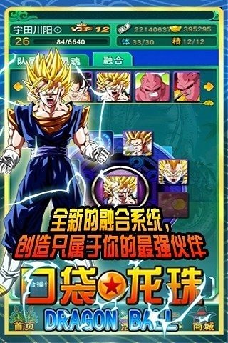 口袋龙珠九游版