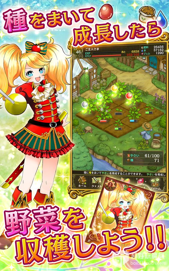 蔬菜战斗 1.0.8 安卓版