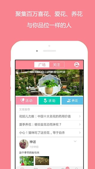 花开了app