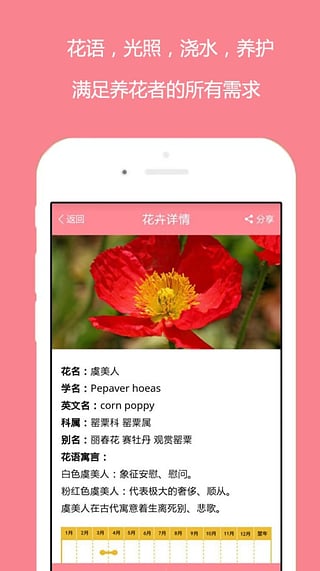 花开了app