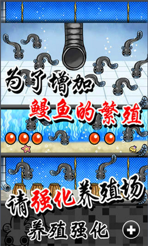 鳗鱼养殖场汉化版 1.3 安卓版
