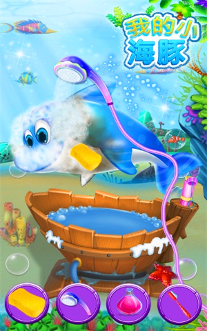 我的小海豚