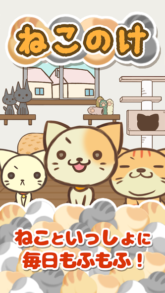 猫毛 1.1.0 安卓版