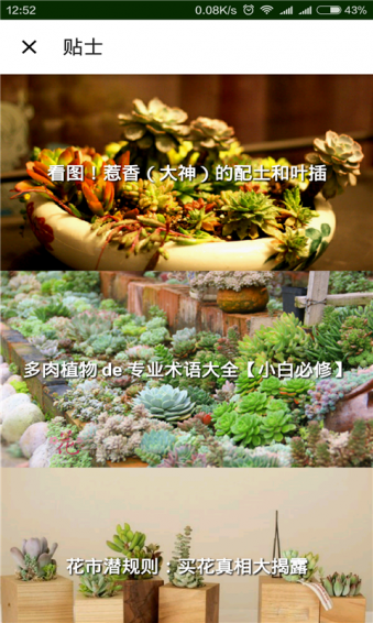 植物医生