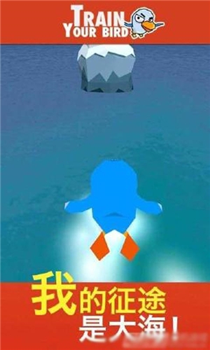 笨鸟大航海