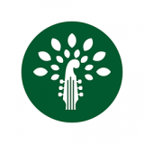 民谣 3.5.0 安卓版