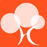 黄花树 1.0.29 安卓版