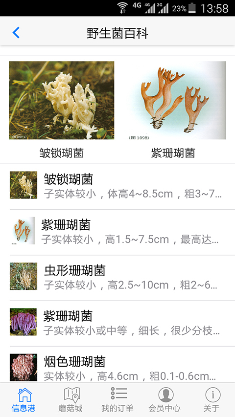 中国野生菌