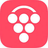 开趴 1.2.1 安卓版
