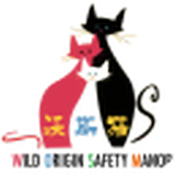 沃斯猫 1.0.0 安卓版