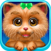 照顾新生小猫咪 1.1 安卓版