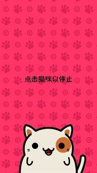 猫咪寻宝