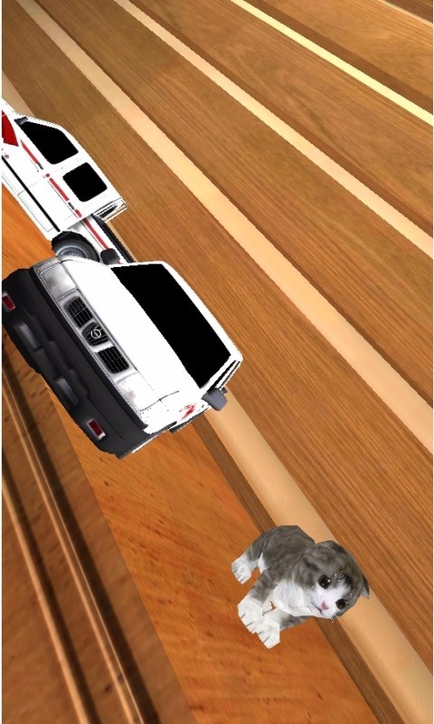 我的猫咪 1.5.8 安卓版