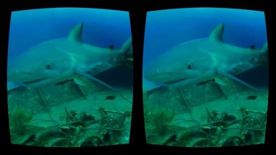 Discovery VR 0.1 安卓版