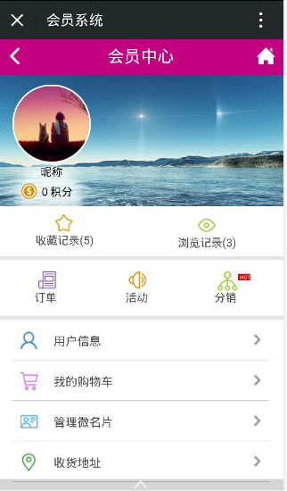 诗维斯