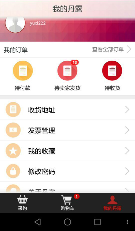 丹露终端店