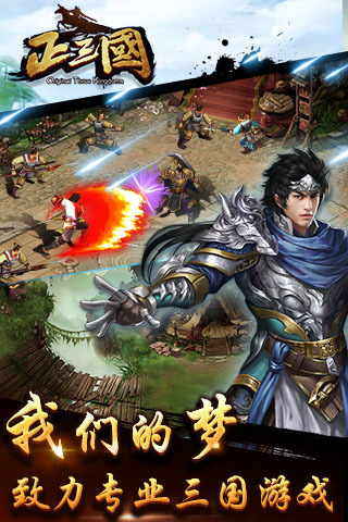 正三国九游版