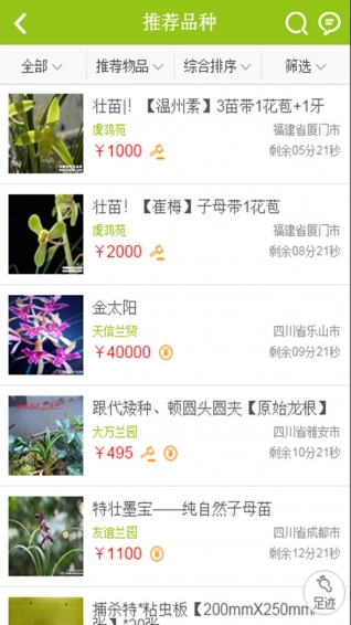 中国兰花交易网