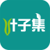 叶子集 1.0.01 安卓版