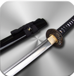 剑术大师 2.6.0 安卓版