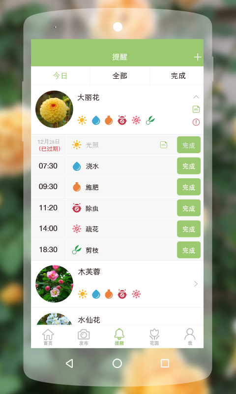 绿手指