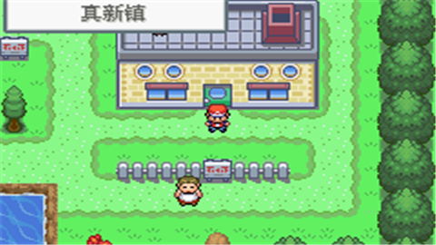 口袋妖怪真永恒之炎Y