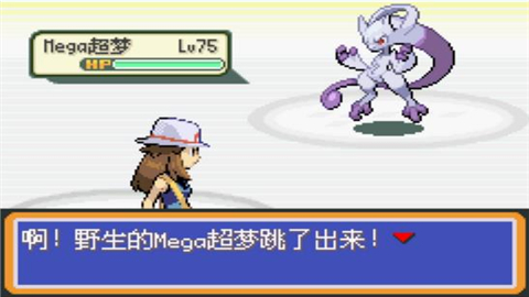 口袋妖怪真永恒之炎Y