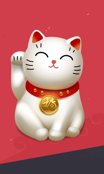 飞猫云