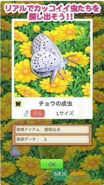 昆虫大师2 1.2.0 安卓版