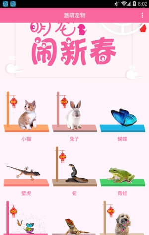 激萌猫咪桌面宠物