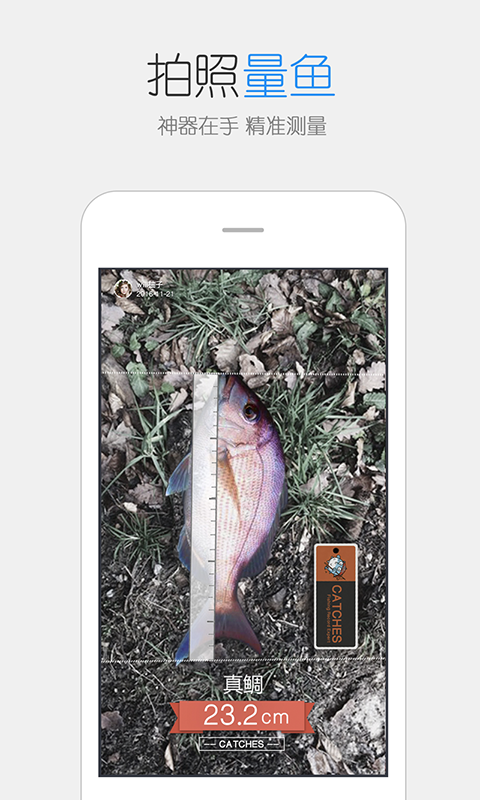 渔获 3.3.1 安卓版