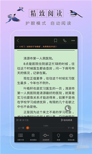 轻言小说app