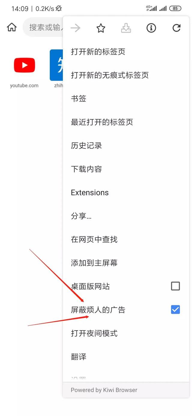 Kiwi Browser(支持安装chrome插件) 93 安卓手机版