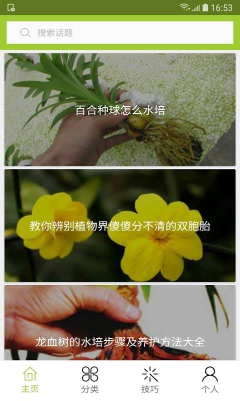 花草种植