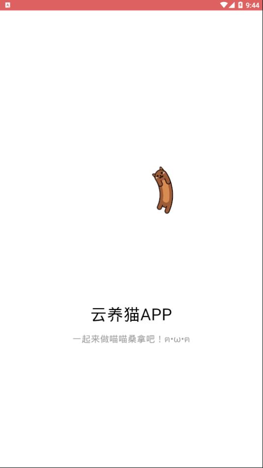 时空猫app下载