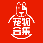 宠物合集app 3.8.3 安卓版