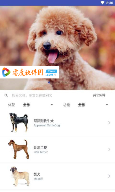 宠物合集app