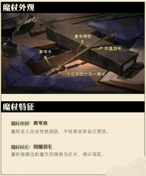 哈利波特手游中文下载 1.5.4 破解版
