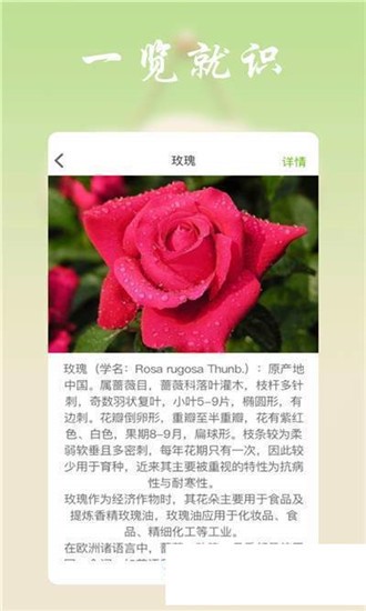 识花帮