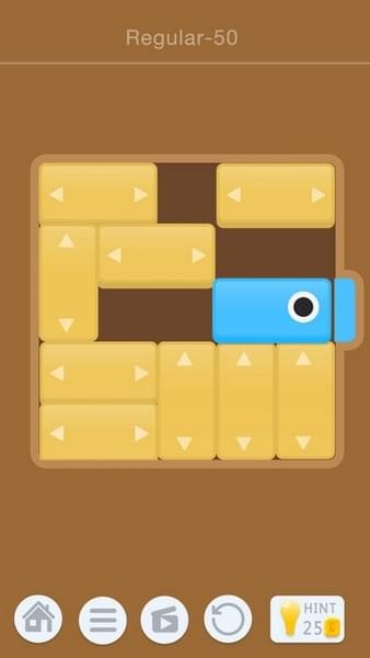 Puzzledom