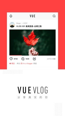 VUE下载